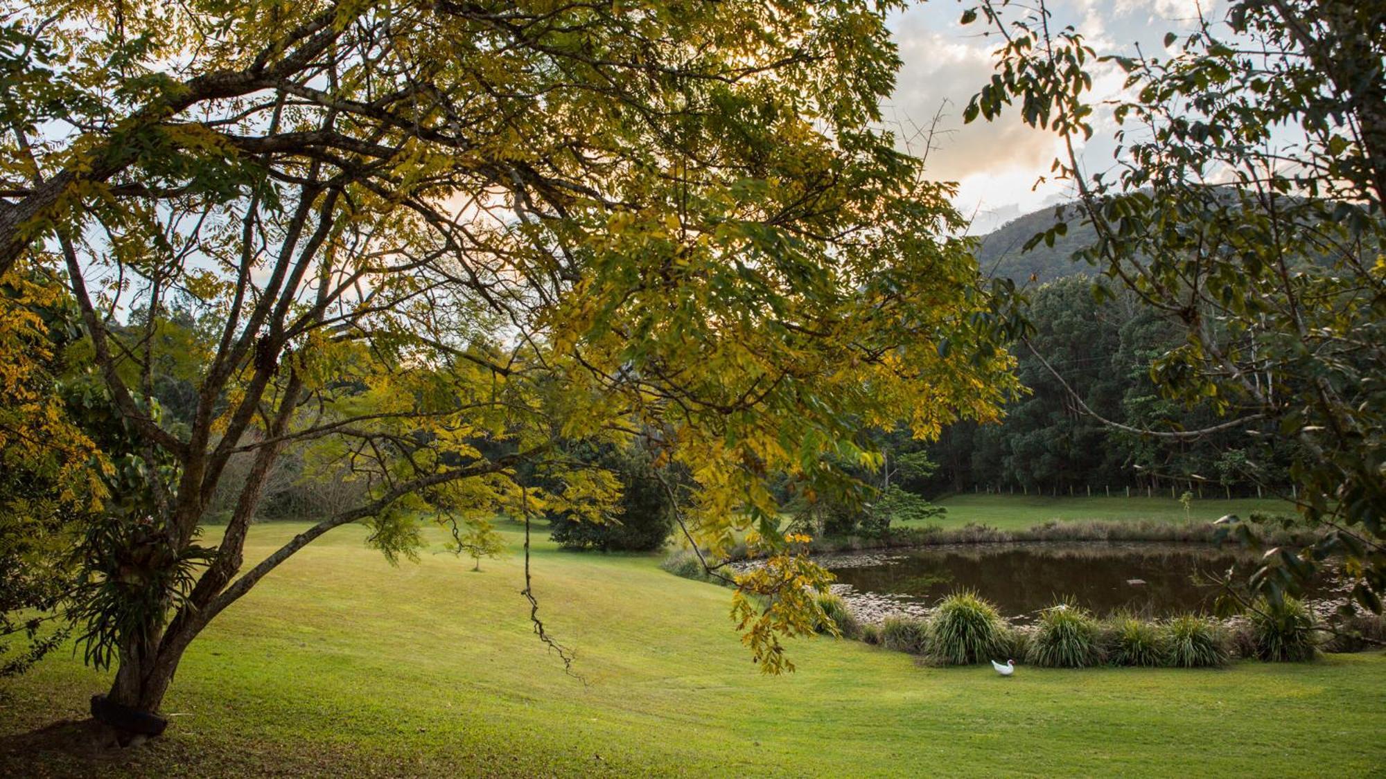 Mavis'S Cabins @ Mt Warning Uki Exterior foto